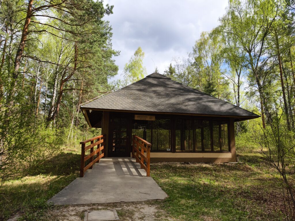 Drewniany pawilon nad wejściem do trasy podziemnej Muzeum Archeologicznego i Rezerwatu Krzemionki Opatowskie otoczony wiosennym lasem