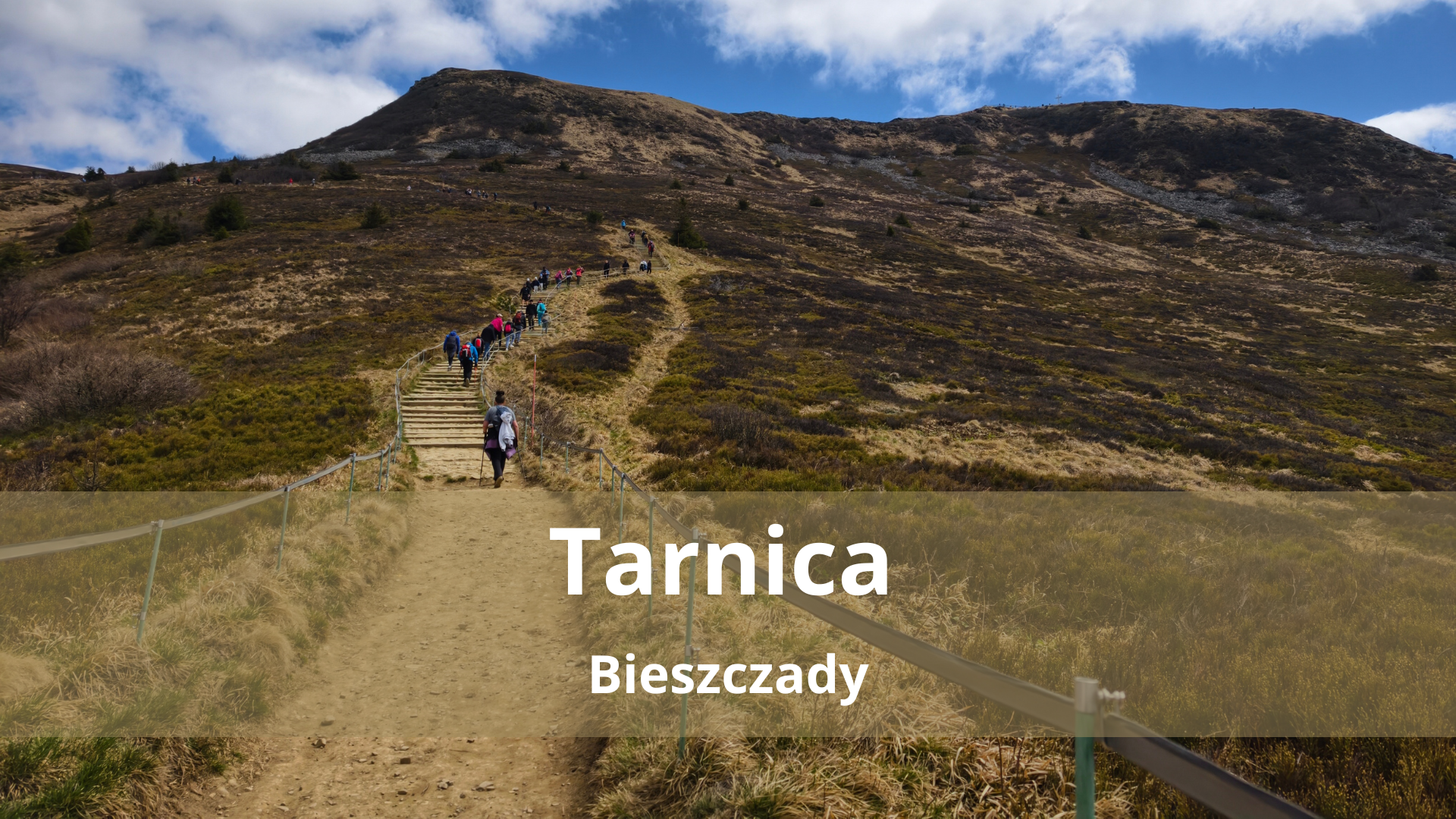 Tarnica – Najwyższy szczyt Bieszczadów – Przewodnik i opis trasy