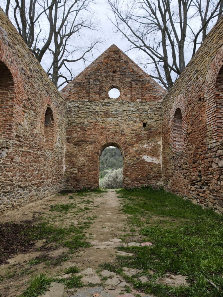 Widok od środka na pozbawione dachu, surowe i omszałe mury ruin cerkwi w Krywem, otoczone gęstymi zaroślami.