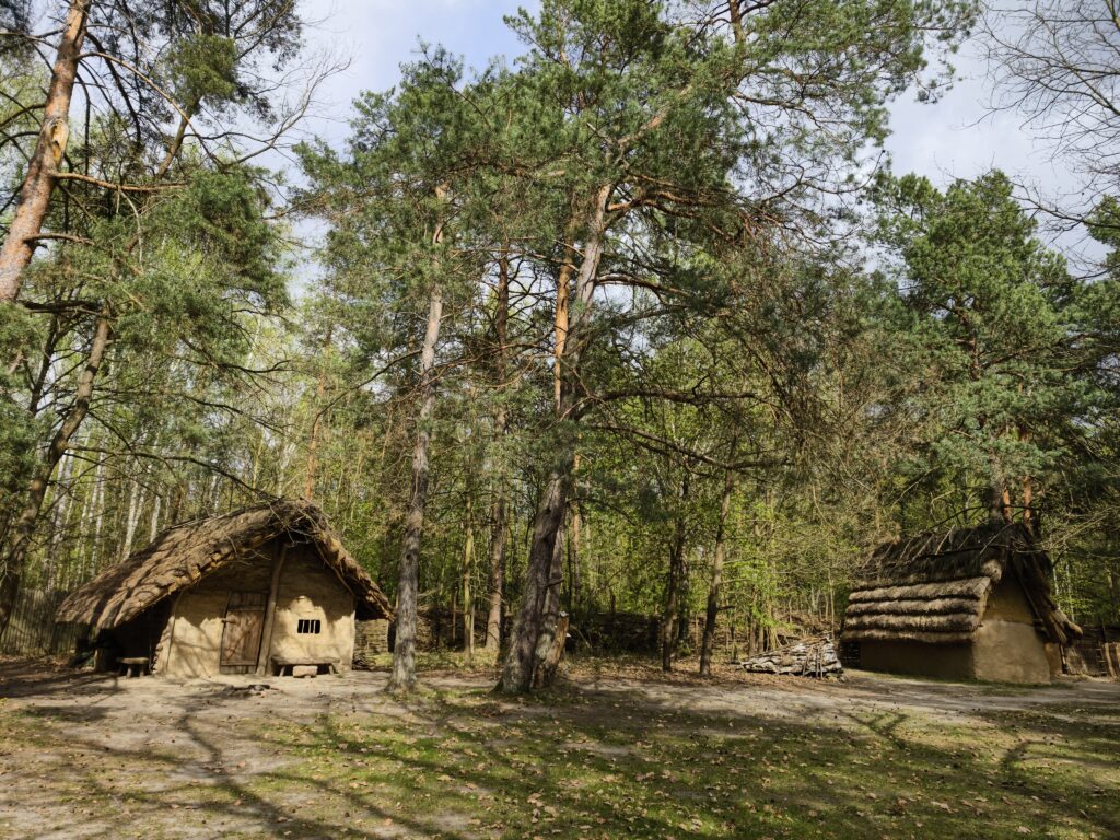 Zrekonstruowana pradziejowa osada neolityczna przy Krzemionkach Opatowskich – chaty kryte słomą i gliną w otoczeniu lasu