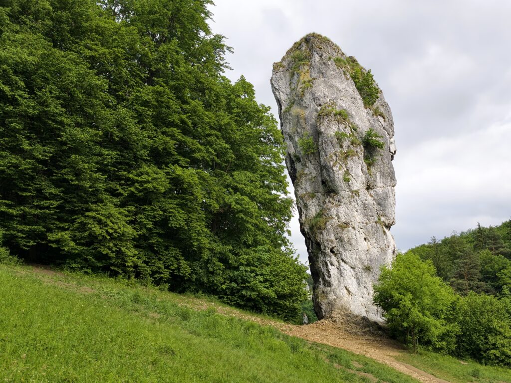 Maczuga Herkulesa - wapienny ostaniec ok. 25 m wysokości, z turystą u podnóża