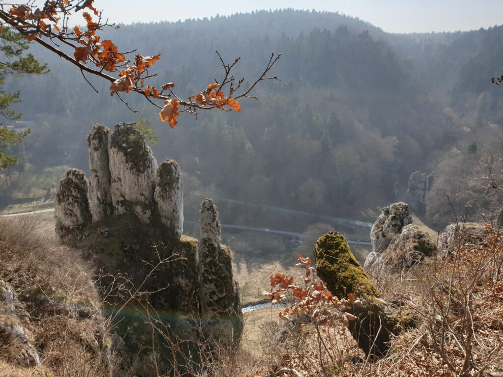 Skała Rękawica - wapienna formacja przypominająca dłoń z palcami, nad Doliną Prądnika