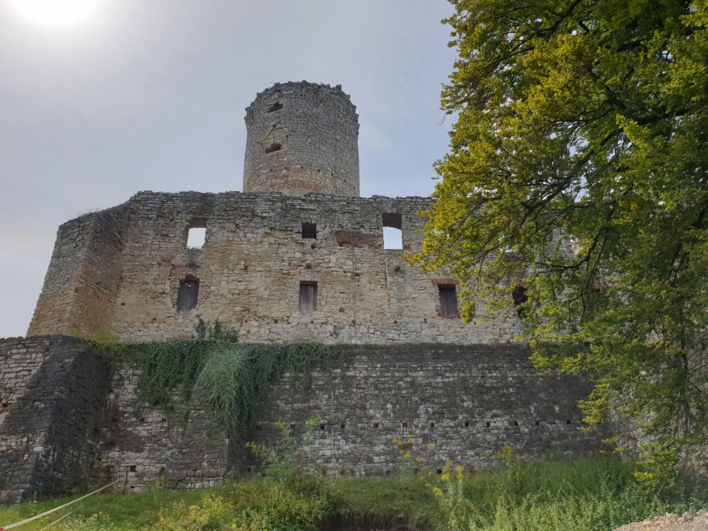 Ruiny zamku Lipowiec w Babicach z wysoką cylindryczną wieżą z białego wapienia, widok murów od zewnątrz