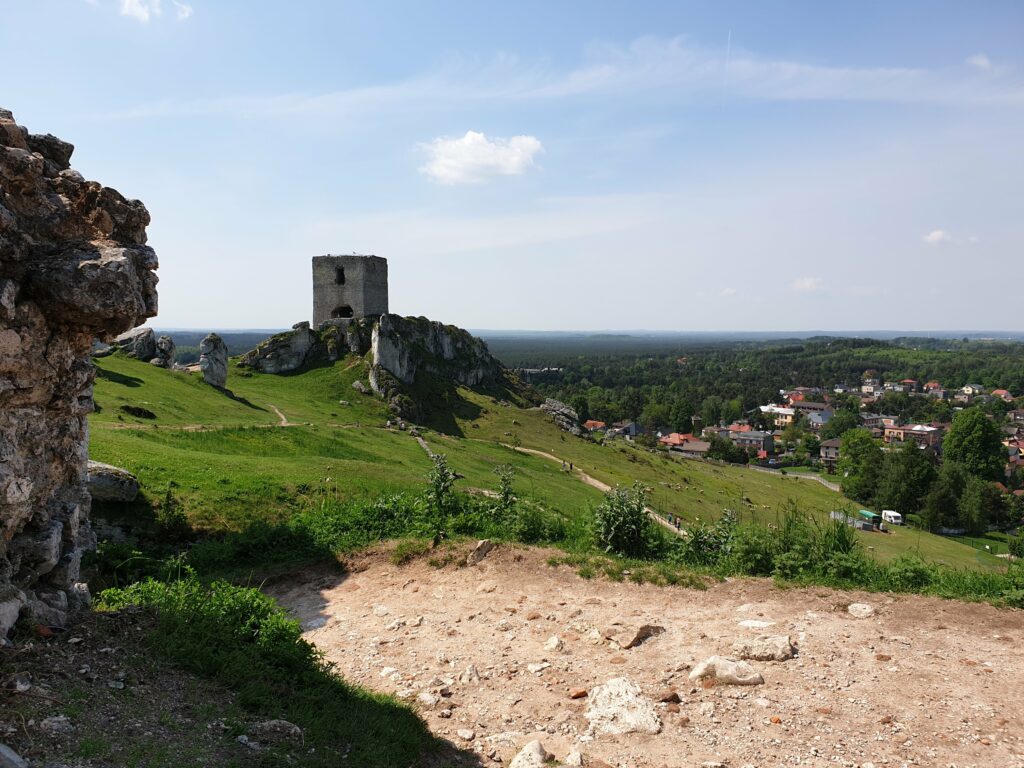 Panorama z zamku w Olsztynie na miejscowość Olsztyn i lasy Jury Krakowsko-Częstochowskiej