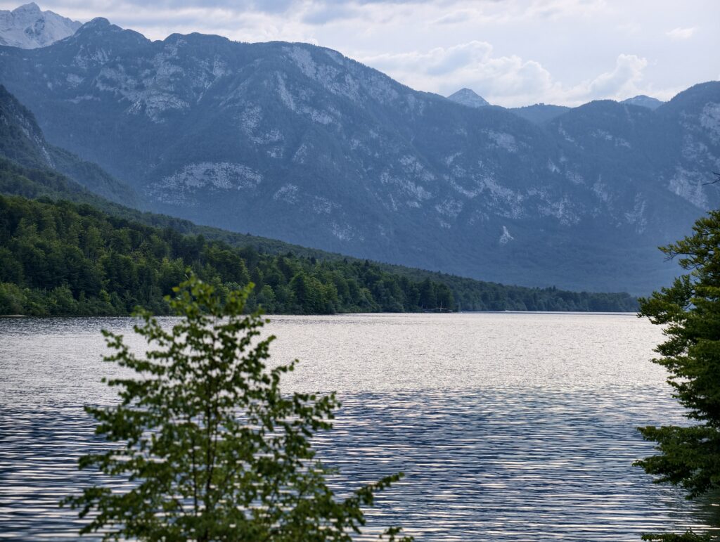 Panorama jeziora Bohinj z ośnieżonymi szczytami Triglavskiego Parku Narodowego
