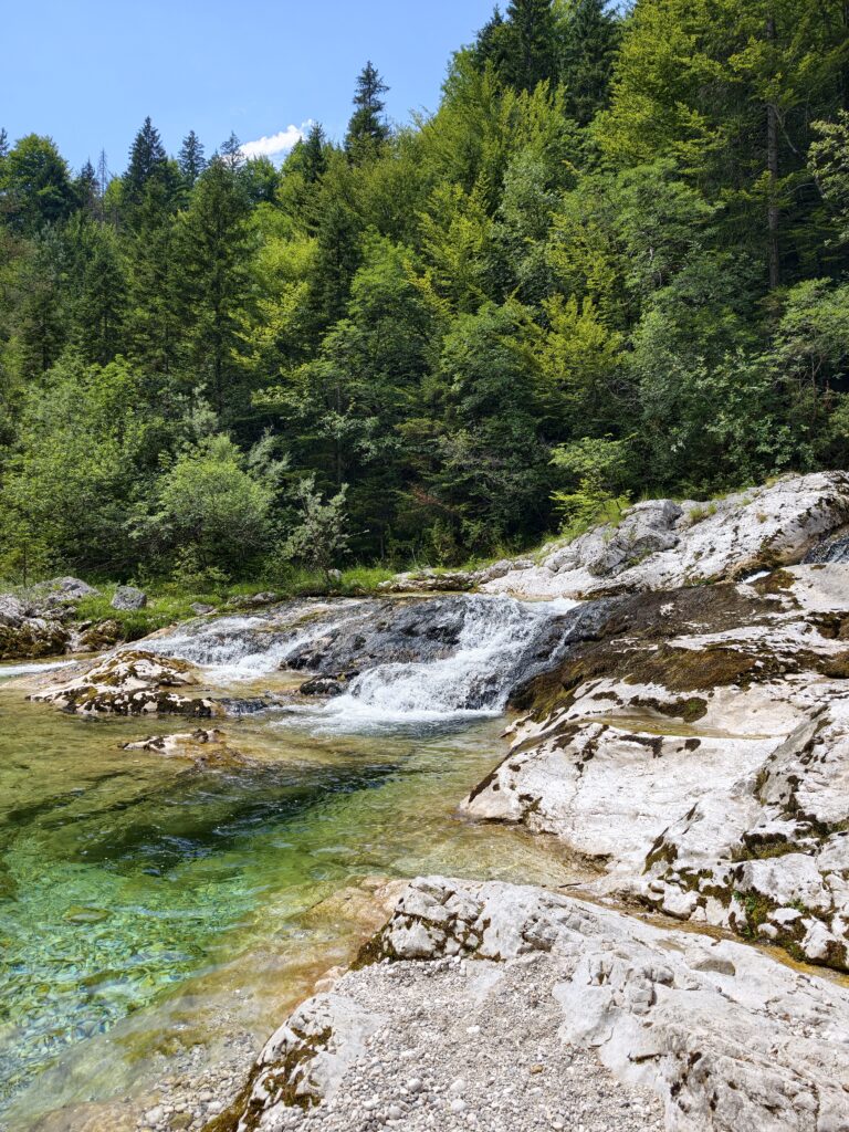 Niewielka kaskada wodna na potoku Mostnica spływająca po jasnych skałach wapiennych w otoczeniu zielonego lasu.