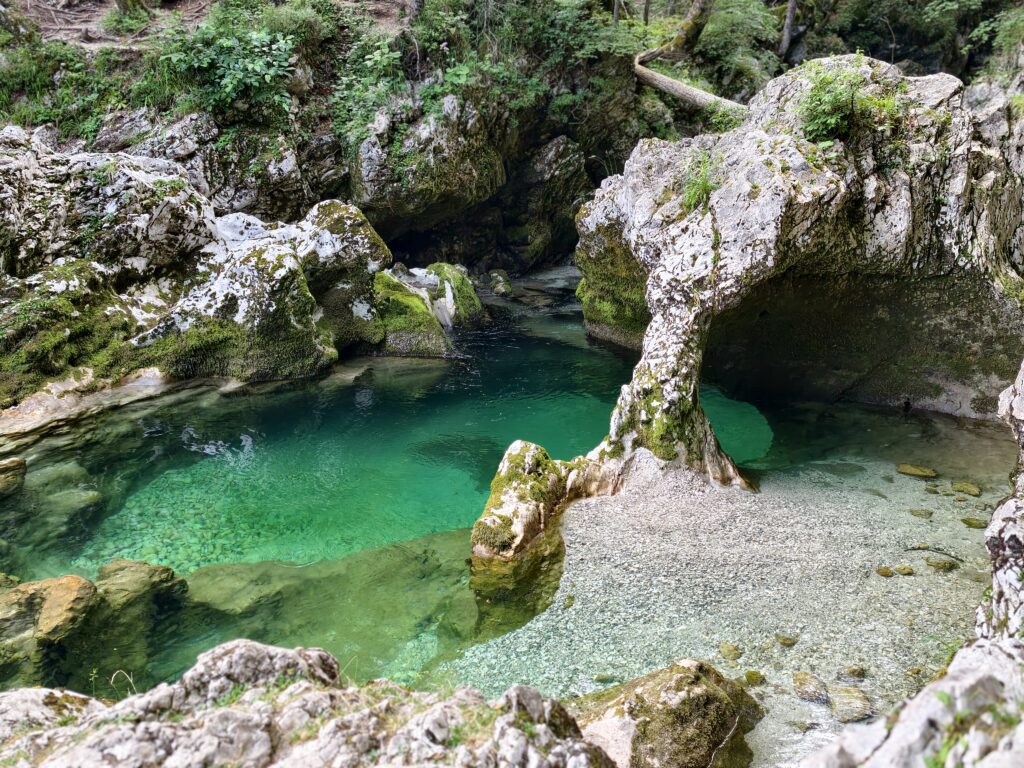 Turkusowa woda w skalnym wąwozie Korita Mostnice w dolinie Bohinj