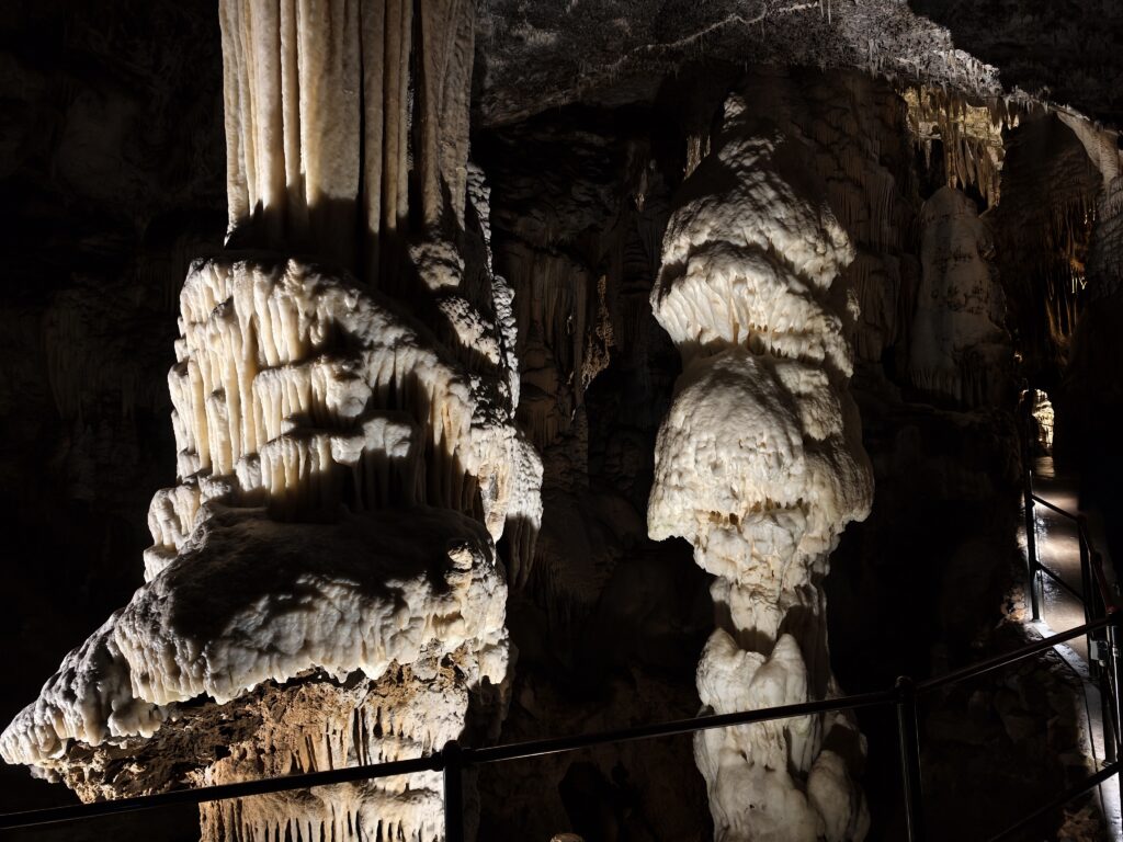 Podświetlone białe stalagmity w Jaskini Postojna