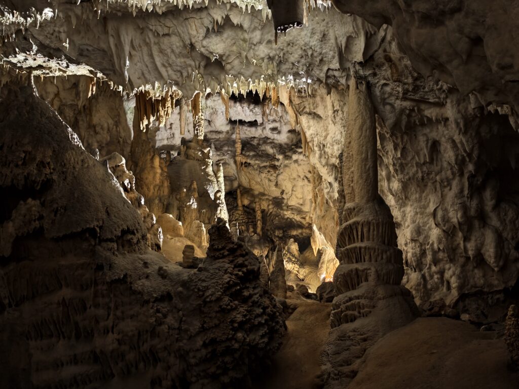 Stalagmity i kolumny naciekowe w korytarzu Jaskini Postojna
