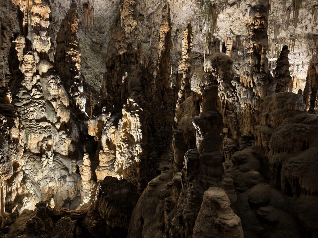 Las stalagmitów w Jaskini Postojna oświetlony punktowo