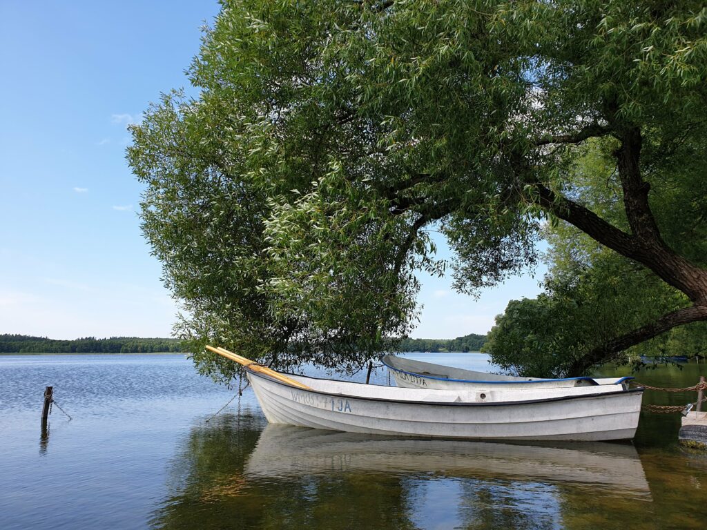 Drewniana łódka pod wierzbą nad jeziorem w Kotkowie