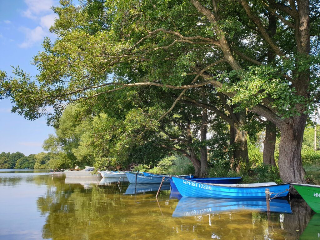 Łódki przy brzegu jeziora Gil w Kotkowie, Warmia