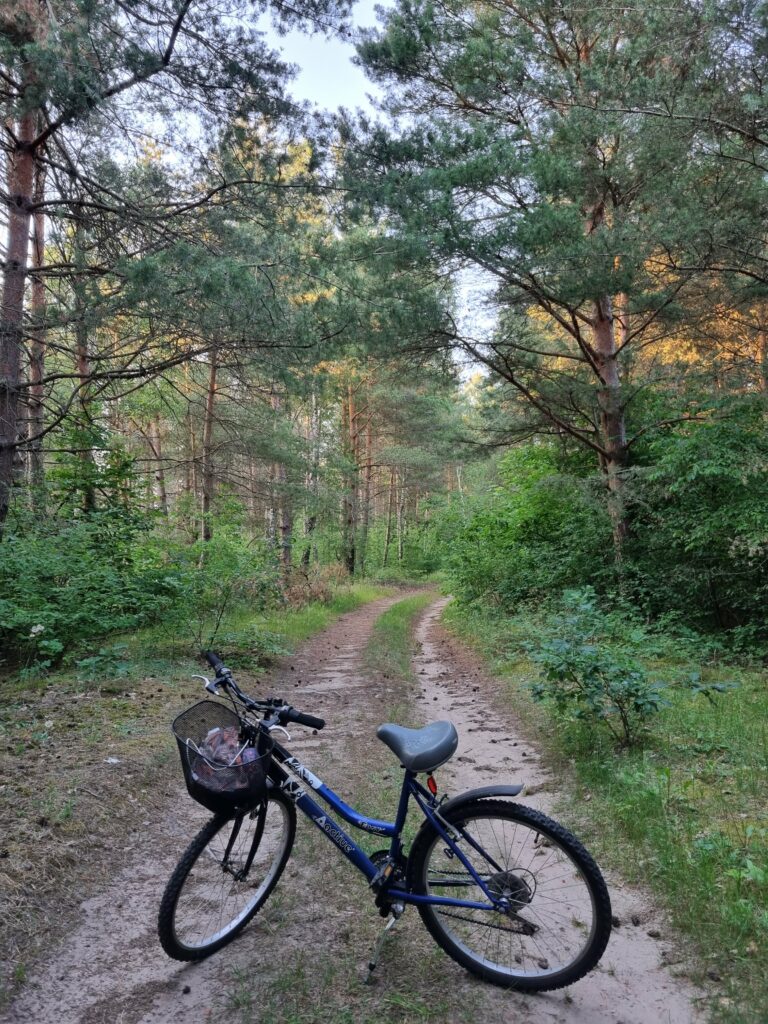 Rowerowa ścieżka w lesie koło Kotkowa