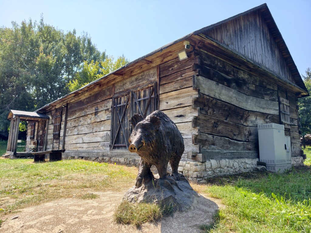 Drewniany spichlerz z rzeźbą dzika na terenie Muzeum Wsi Lubelskiej w Lublinie