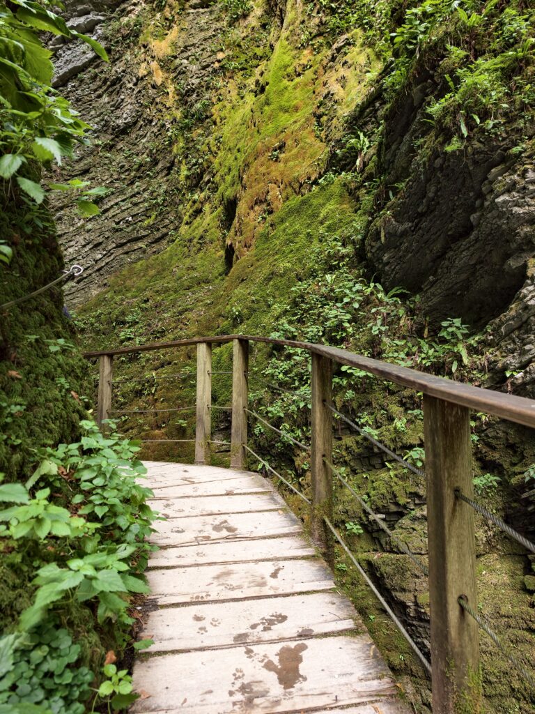 Wąski krasowy wąwóz porośnięty mchem z drewnianą kładką prowadzącą do wodospadu Kozjak