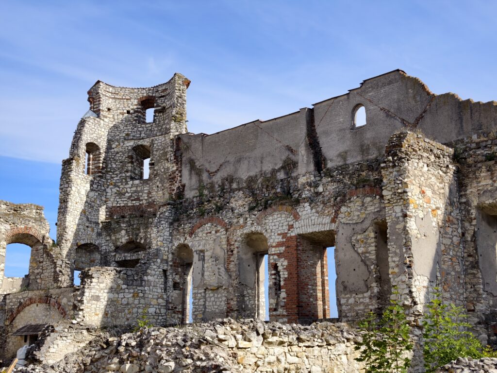 Ruiny murów i wieży zamku w Janowcu, detale dawnej architektury