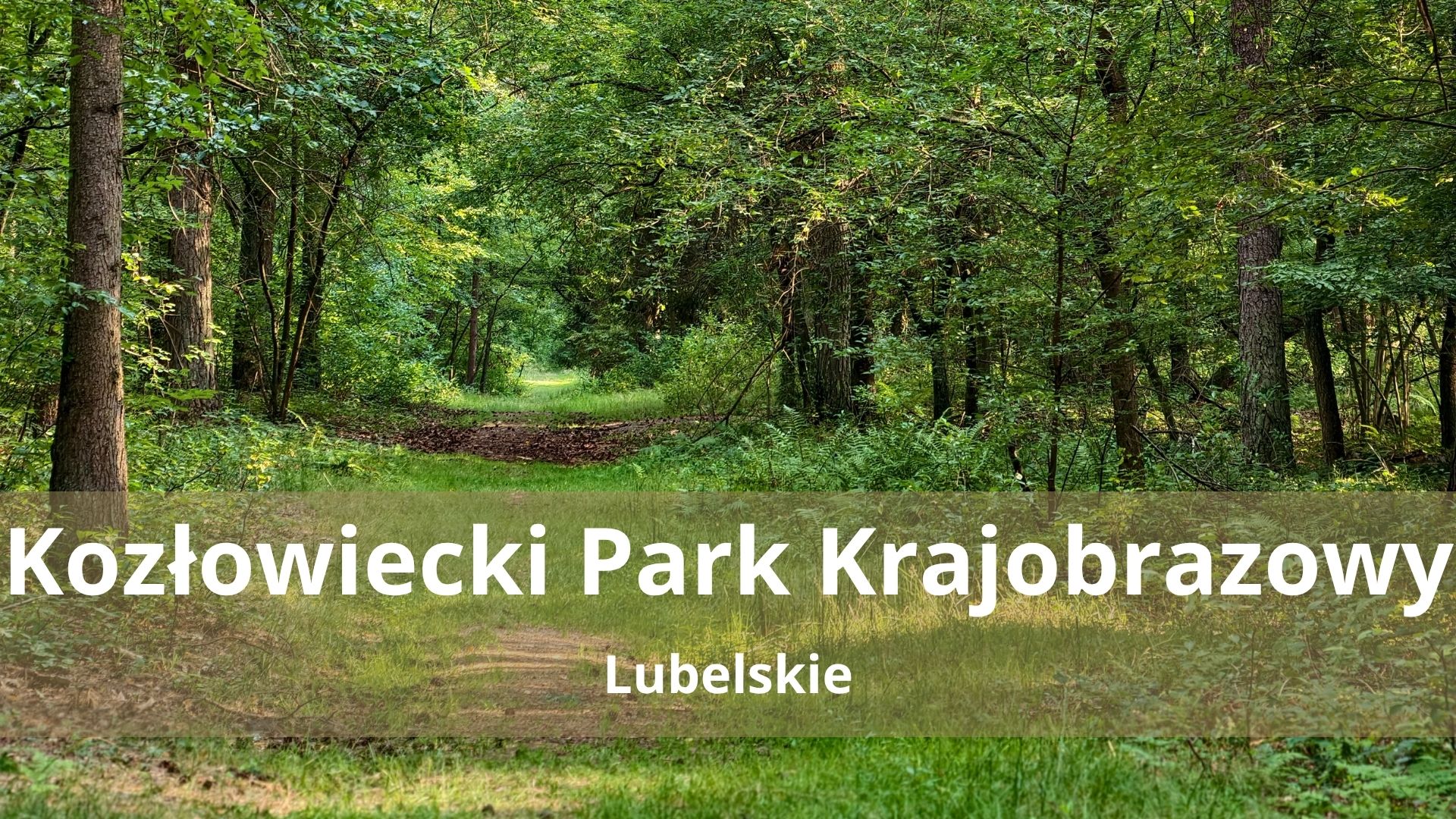 Kozłowiecki Park Krajobrazowy – Piesze szlaki i trasy rowerowe