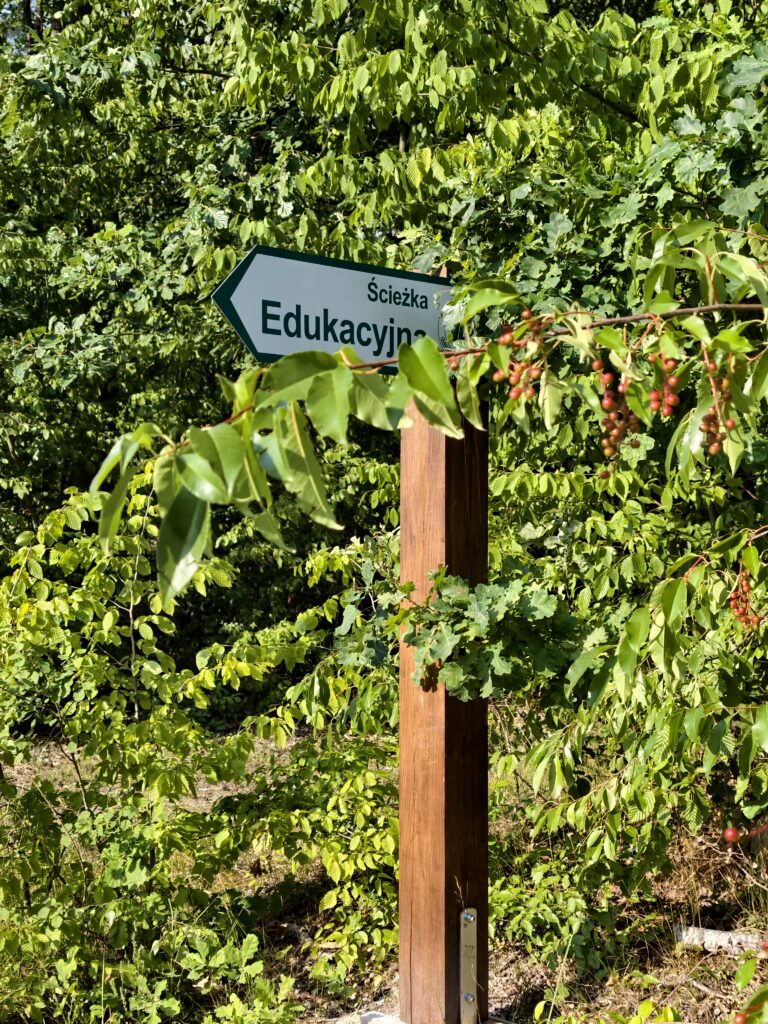 Drewniany drogowskaz ze ścieżką edukacyjną w Kozłowieckim Parku Krajobrazowym, otoczony zieloną roślinnością leśną