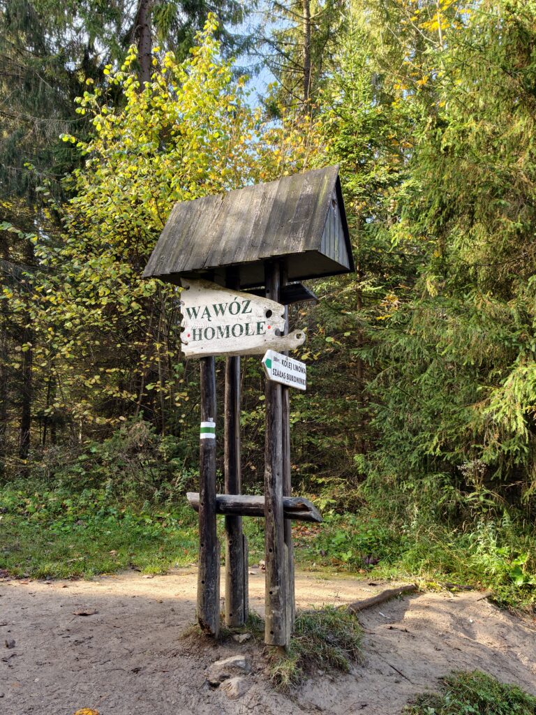 Drewniany drogowskaz z napisem „Wąwóz Homole” pod daszkiem i tabliczka „500 m, kolej linowa, Szałas Bukowinki” ze znakiem zielonego szlaku.