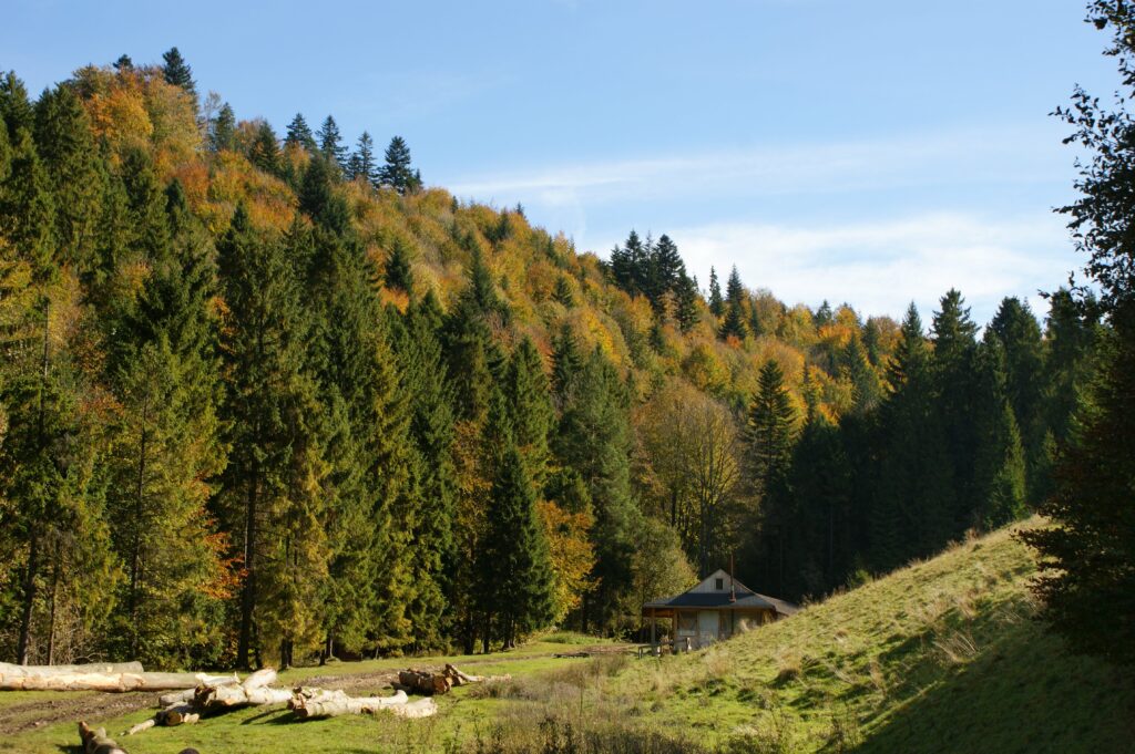Rozległa górska łąka z małą, drewnianą bacówką u stóp wzgórz porośniętych gęstym, jesiennym lasem.