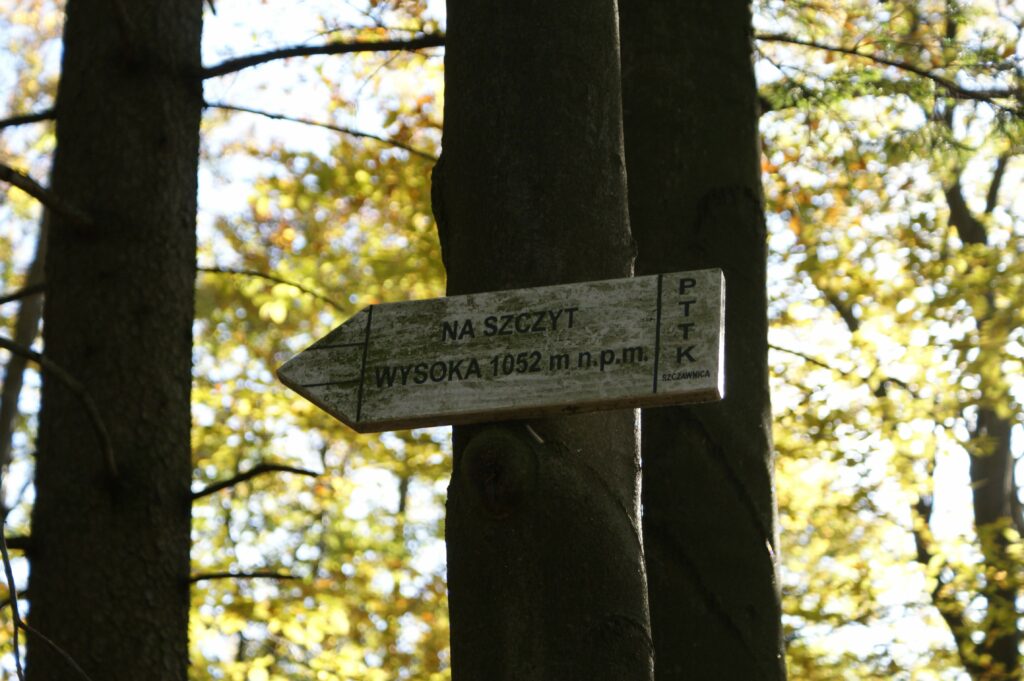 Drewniany kierunkowskaz PTTK przybity do pnia drzewa z napisem "Na szczyt Wysoka 1052 m n.p.m.".